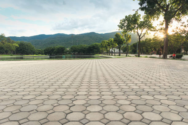 Best Concrete Paver Driveway  in Lake Junaluska, NC